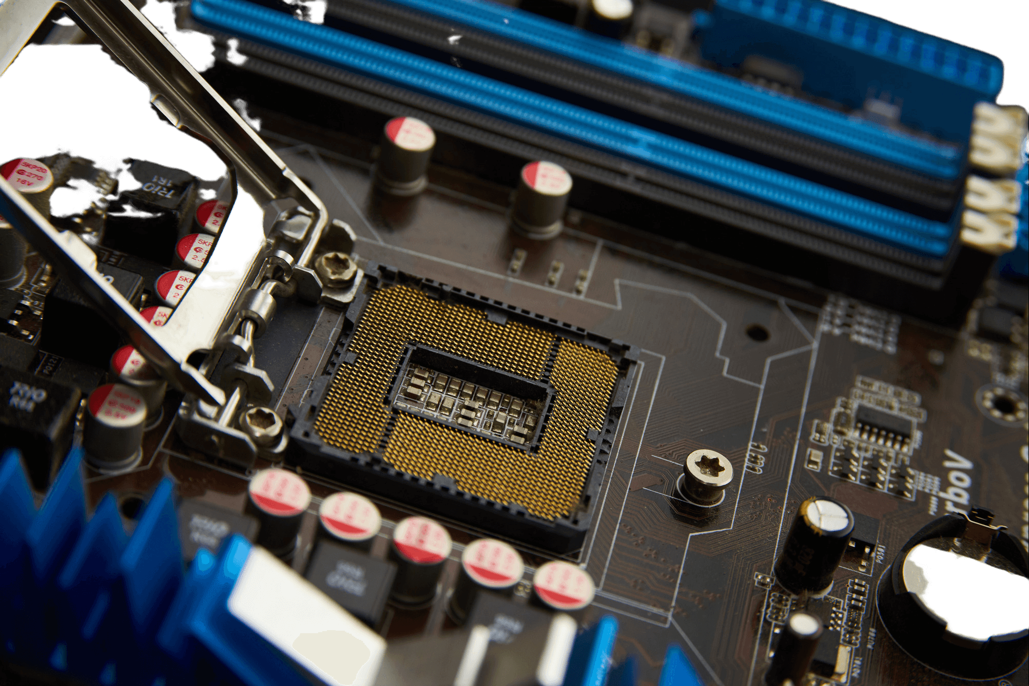 Custom PC Build
